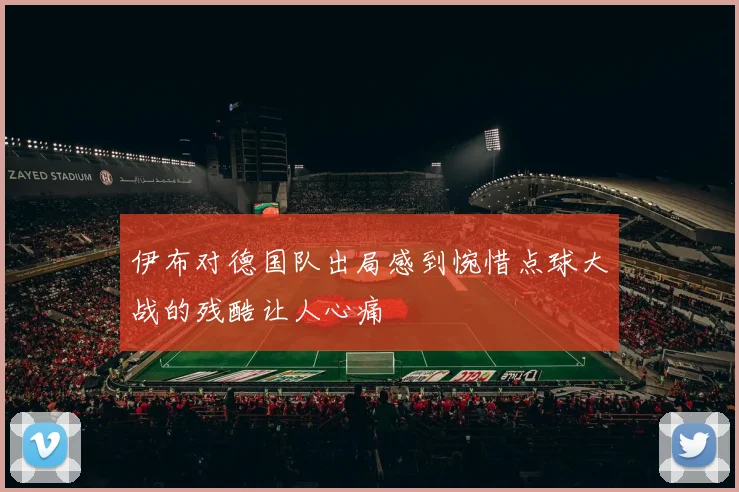 伊布对德国队出局感到惋惜点球大战的残酷让人心痛